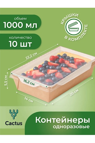 Cactus Tek Kullanımlık Trigloff Kutu, 1000 Ml Yemek Kapları 224868225 100 adet