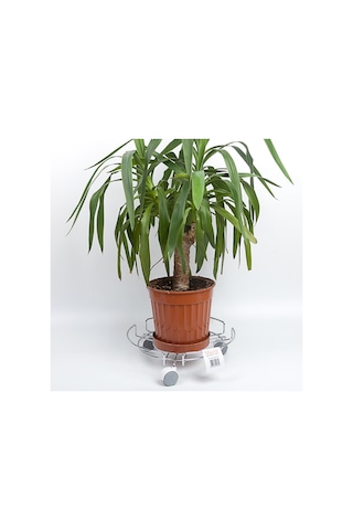 Teknotel Damacana Tüp Saksı Damacana Altlığı Krom Mg052