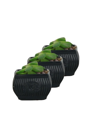 Mini Çiçek Saksı Küçük Sukulent Kaktüs Saksısı 3'lü Set Mini Çizgili Çiçekli Model - Siyah