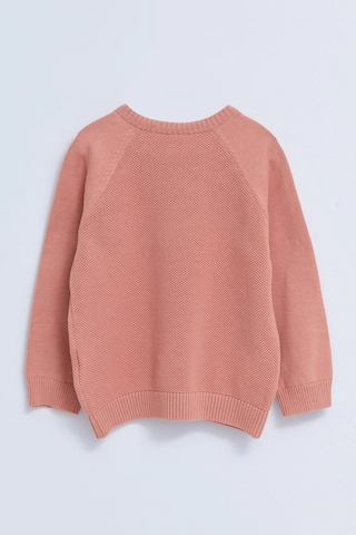 LC Waikiki Lcw Baby Pembe Bisiklet Yaka Kendinden Desenli Erkek Bebek Triko Kazak