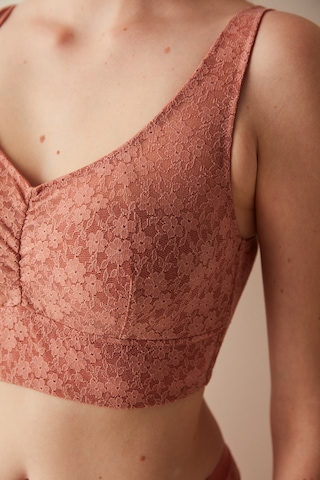 Penti Gül Kurusu Balensiz Aria Bralet 001