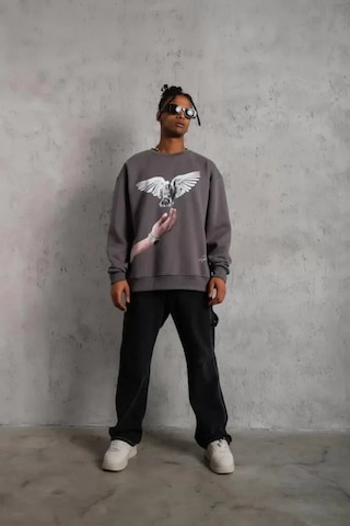 Vexor Erkek Güvercin Baskılı Sweatshirt - Gri