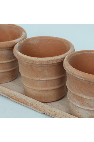 Mini Siena Toprak Saksı Seti Terracota