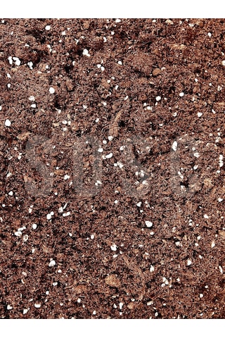 Substrat Mix Ithal Torf Cocopeat Perlit Özel Karışım Saksı Harcı Çiçek Ve Bitki Toprağı 3 Lt Diğer