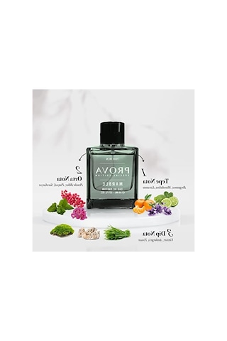 Erkek Parfümü - 50 Ml Aromatik Baharatlı Koku Amber