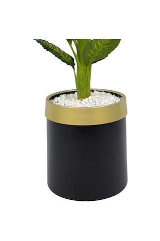 Biçiçek Yapay Di̇fenbahya 170 Cm Si̇yah Gold Metal Saksıda