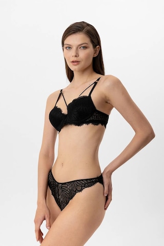 Pierre Cardin Lingerie 4886 Kadın Soft Push Up Dantelli Sütyen Takım Siyah