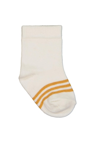 Civil Baby Basic Çizgili 3'lü 6- Bebek Erkek Çorap Set - Standart