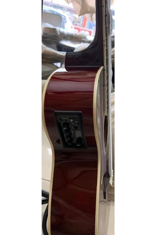 Elektro Akustik Gitar