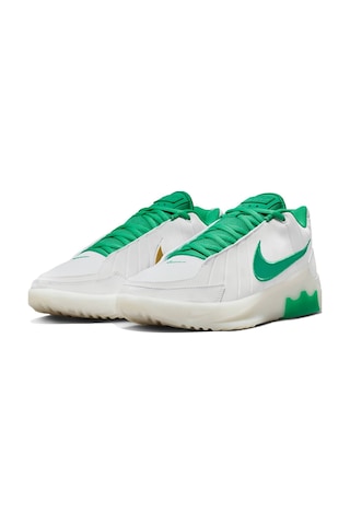 Nike Lebron Witness Ix Mens Basketball Shoes Erkek Basketbol Ayakkabısı Beyaz