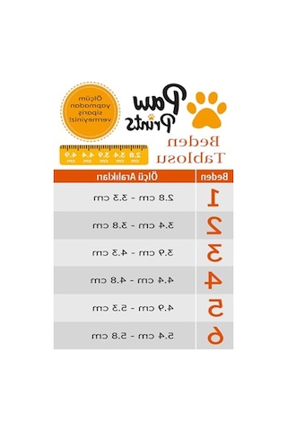 Akınalbella Kaydırmaz Kauçuk Tabanlı Köpek Ayakkabısı, Reflektörlü Antrasit