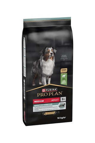 Medium Adult Kuzu Etli Köpek Maması 14 Kg
