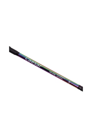 Albastar Caesar Kamış 100-225gr 390cm
