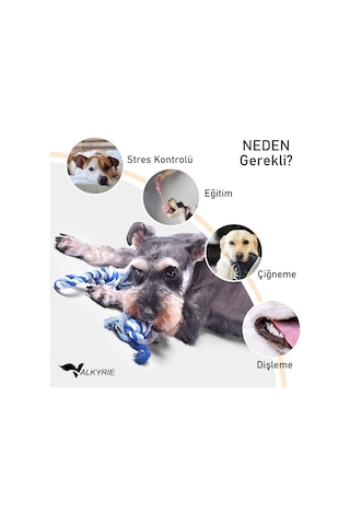 Valkyrie 4 Lü Köpek Diş İpi Oyuncağı Seti Isırma Çekiştirme Eğitim Toplu Halat Oyuncak