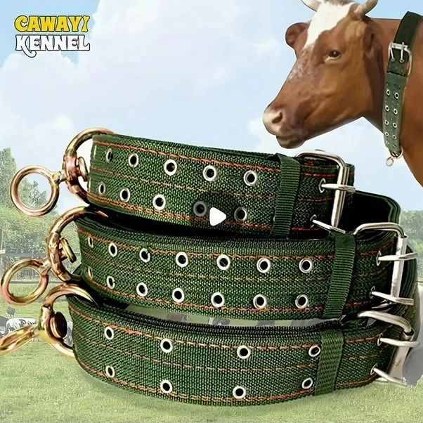 Trendooze Güneş022 L Model Kalın 4 Katlı Tozluk Boyunduruğu, Dayanıklı Kanvas Tasmalı Çiftlik Hayvanları İçin