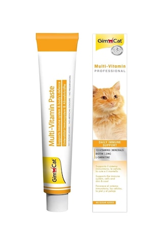 Gimcat Multi Vitamin Kedi Macunu 100 Gr