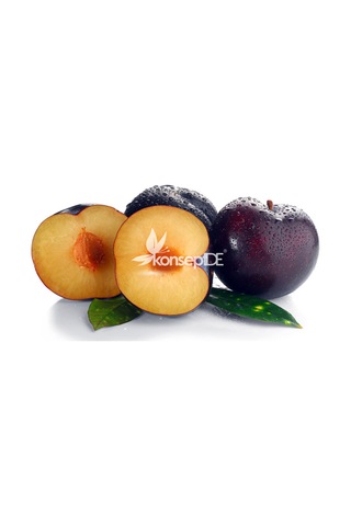 Erik Angeleno Fidanı N11.222