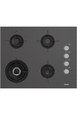 Altus ALA 189 DG Woklu - 322 G Turbo 2'li Gri Cam Ankastre Set