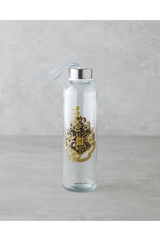 English Home Harry Potter Cam Lisanslı Şişe 500 Ml Renkli