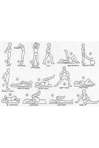 Leyaton 5 KG x 2 Adet Köşeli Mavi Plastik Dambıl Ağırlık Seti