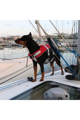 Comfy Köpek Can Yeleği 40-80 KG XL Kırmızı Kırmızı - Siyah