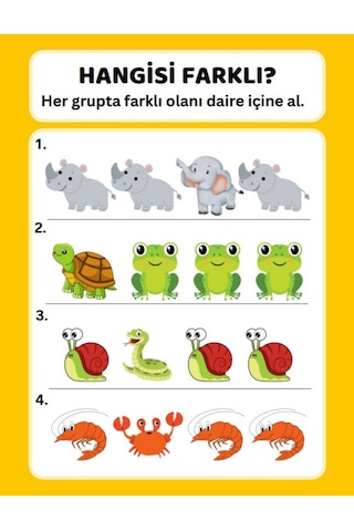 Okul Öncesi Farklı Olanı Bul Yaz-sil Kitabı