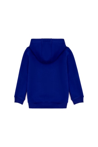 U.S. Polo Assn. Kız Çocuk Mor Basic Kapüşonlu Şardonlu Basic Sweatshirt 50314311-VR038