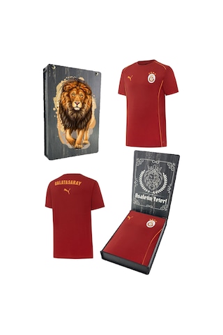 Gsstore Galatasaray Lisanslı 2024/25 Kırmızı Antrenman T-shirt Gs Aslan Baskılı Ahşap Kutulu Kırmızı - Siyah