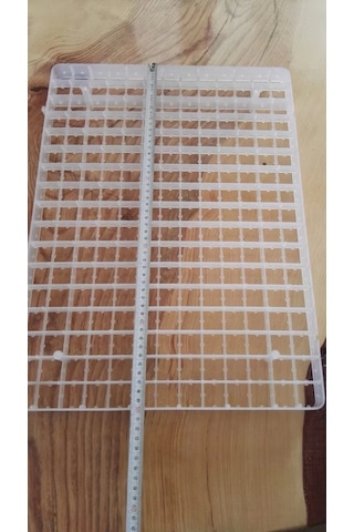 221lı Bıldırcın Gelişim viyolu