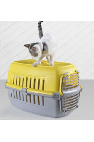 Renetic Kedi Köpek Taşıma Çantası