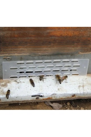 Geeroyoo Arı Kraliçe Kaçma Engeli - Beyaz Çok Amaçlı Arı Kovanı Aracı 10 Adet