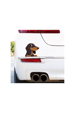 Sekiz Çizgi Film Köpek Yavrusu Araba Çıkartması Çok Renkli