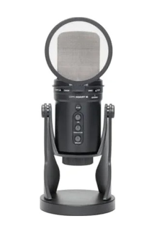 Profesyonel Mikrofon Pop Filtresi 9,5 Cm 1