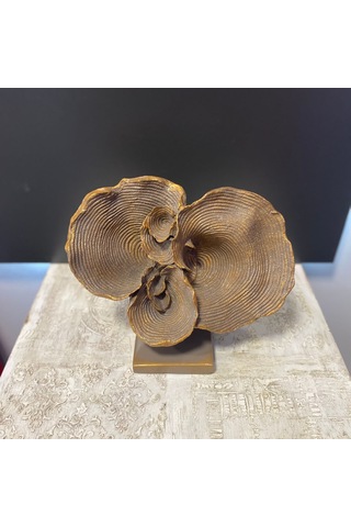 Büyük Kaideli Deniz Mercan