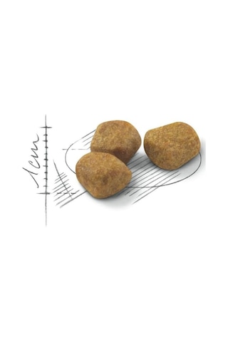 Indoor +7 Yaşlı Kuru Kedi Maması 3,5 Kg