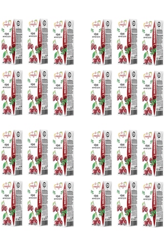 Meysu Vişne Meyveli İçecek 200 Ml X 24 Adet