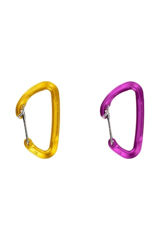 Climbing Technology Berry W Karabina Pembe