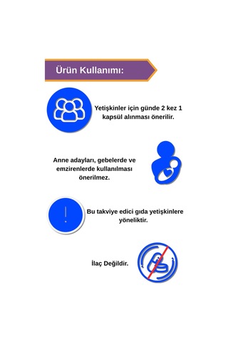 Afye Ginseng Panax 60 Kapsül