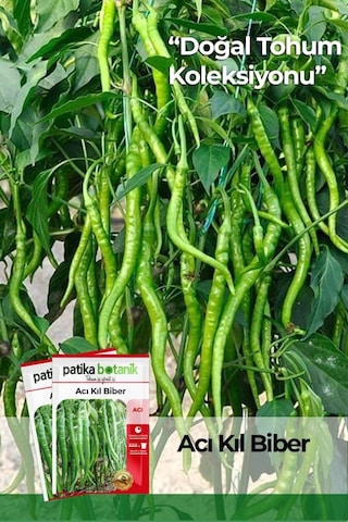 200 Adet Acı Kıl Biber Tohumu