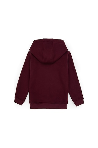 U.S. Polo Assn. Erkek Çocuk Bordo Basic Kapüşonlu Sweatshirt 50313808-VR177