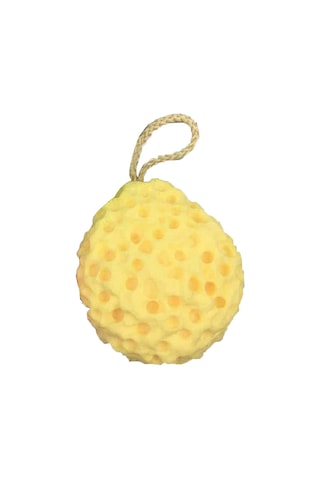 Homyl Duş Kabağı Sünger Kullanımlık Köpük Vücut Scrubber