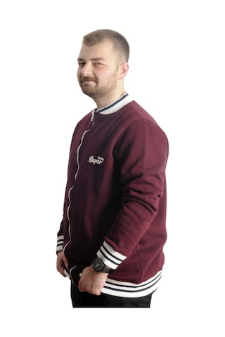 Mode Xl Büyük Beden Erkek Kolej Mont Süper 22614 Mürdüm Mürdüm