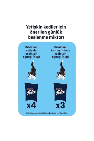 Felix Pouch Karışık Yetişkin Kedi Yaş Maması 32 x 85 G