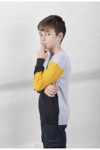 Alexandergardı Desenli Çocuk Triko Kazak C22-18937 10 001