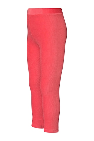 Lovetti Nar Çiçeği Kız Çocuk Fitilli Kadife Tayt 9312N003 Narçiçeği