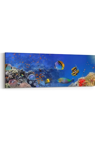 Olla 180x60 Cm 12144yı Akvaryum / Balık Görseli Yatay İnce Kanvas Tablo