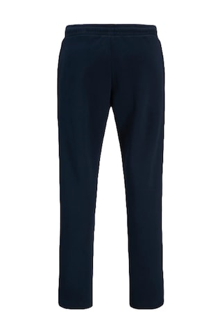 Jack & Jones Jack&jones Jpst Gordon Newplush Erkek Eşofman Altı 12290437 Lacivert