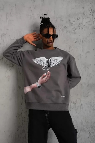 Vexor Erkek Güvercin Baskılı Sweatshirt - Gri
