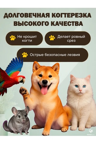 Homeresurs Kedi Ve Köpekler İçin Pençe Törpüsü 227823581