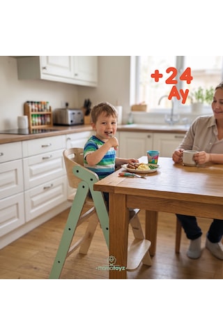 Mamatoyz Mychair Only Chair Mint Mama Sandalyesi Sadece Sandalye Versiyonu